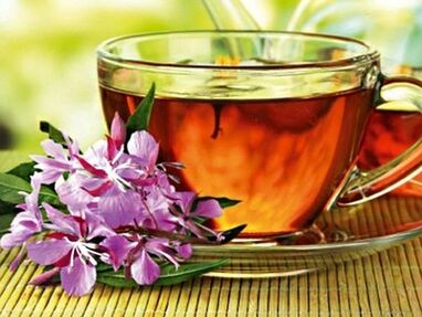 Weidenröschen-Tee kann dem männlichen Körper Nutzen und Schaden bringen