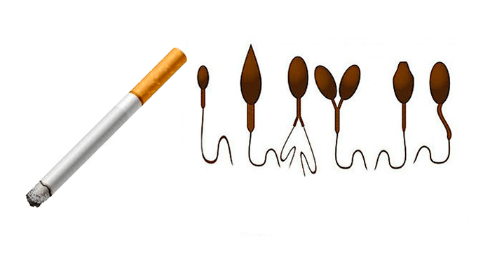 Abnormale Spermienstruktur aufgrund von Tabaksucht